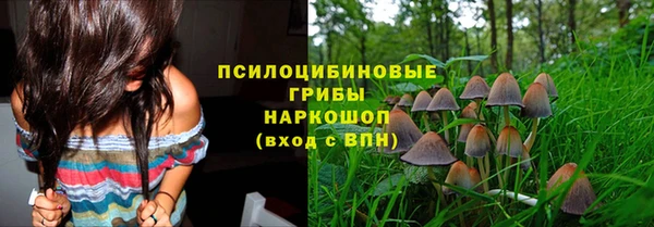 Альфа ПВП Абдулино