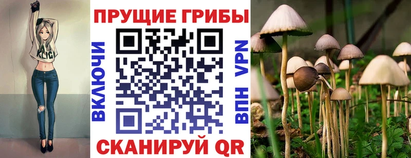 цена   Емва  Псилоцибиновые грибы Psilocybe 