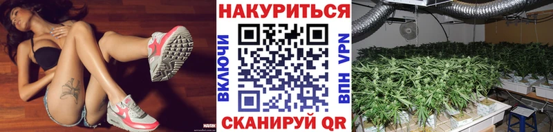 Бошки марихуана ГИДРОПОН  Емва 
